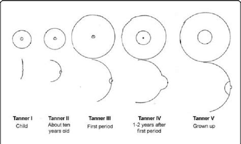 18 year old titties|Breast Stages of Development